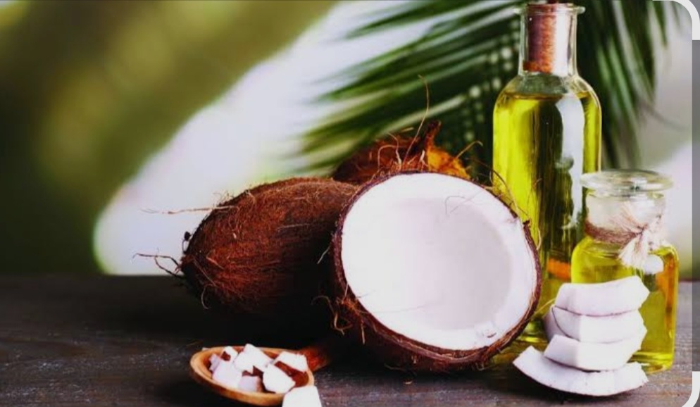 Modernize coconut industry; oil mill eyed in Eastern Samar